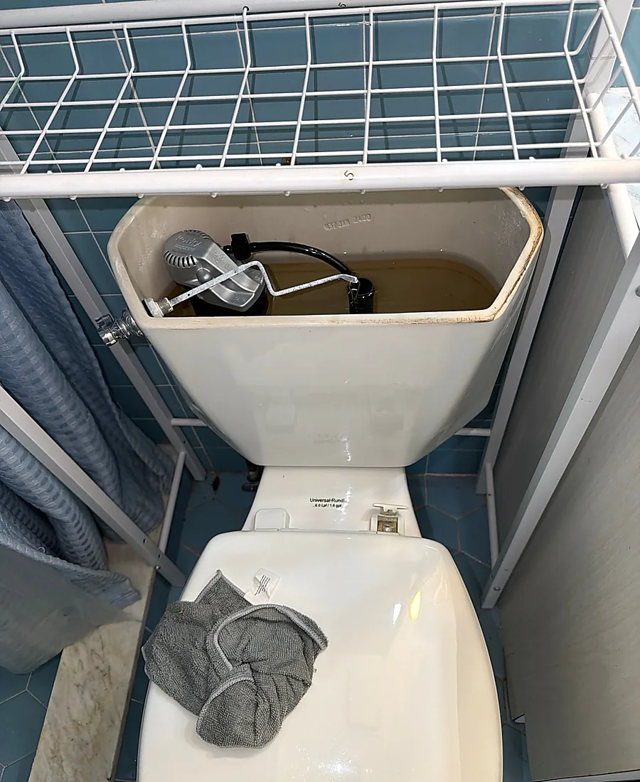 Inspecting a toilet tank with discolored water showing the problem